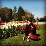 Profile Picture of Jeri Klein (@wittywallflow3r) on Instagram