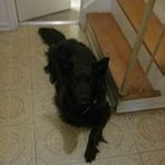 Profile Picture of Kendrabazso (@silverado42) on Instagram