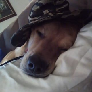 Profile Picture of Scott Craig (@scott.craig.18294053) on Facebook