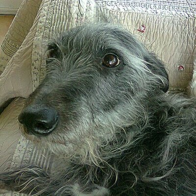 Profile Picture of Stephen Cater (@@v65yx31jqn) on Twitter