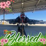 Profile Picture of Darren Cody (@djcody65) on Instagram