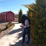 ANDREA_CHALUP - Instagram Profile Picture of ANDREA_CHALUP (@andrea_chalup) on Instagram