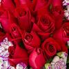 Profile Picture of Nada Othman (@@nadado39) on Tiktok