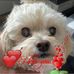 Profile Picture of Kathryn Decker Clark (@kathryn.d.clark) on Facebook