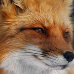 Profile Picture of Elle Jasmine Bedard (@bedard36740) on Instagram