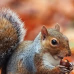 Profile Picture of Chris Rodenbaugh (@chris.rodenbaugh.904) on Facebook