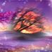 Profile Picture of Bonnie Morris (@bonnie.morris.16547) on Facebook