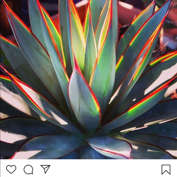 Profile Picture of Gill Graham (@usagilly) on Poshmark