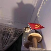 Profile Picture of Seán Steer (@seán-steer) on Quora