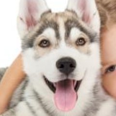 Profile Picture of Gisela Solís (@giselas7solis) on Twitter