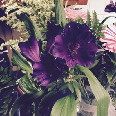 Profile Picture of Greg Prentice (@greg_bei) on Twitter