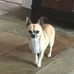Profile Picture of Lorrie Wright (@lorrie.wright.5623) on Facebook