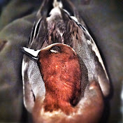 Profile Picture of Andrew Kilby (@andrewkilby7122) on Youtube