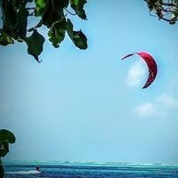 Profile Picture of BradandCarol Martinsen (@brad_martinsen) on Pinterest