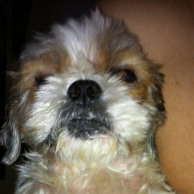 Profile Picture of Dan Loh Wee Tong (@dan_dan78) on Twitter