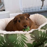 Profile Picture of Aaron Harrelson (@aaron-harrelson-5) on Quora