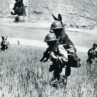 Profile Picture of Ivan Kuznetsov (@omgIIK) on Twitter