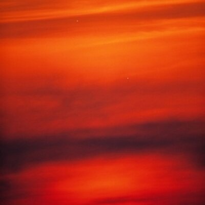 Profile Picture of Alison McGuire (@@AliMcGuire) on Twitter