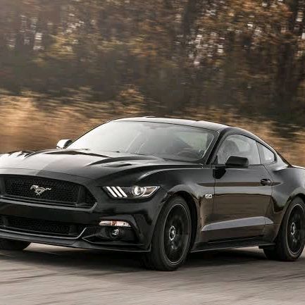 Profile Picture of Michael Haley (@michaelhaley75) on Tiktok