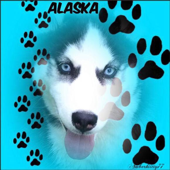 Profile Picture of Stacie Carraway (@stacie_anderson) on Poshmark