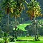 Profile Picture of Victor Mendivil (@victor_mendivil) on Instagram