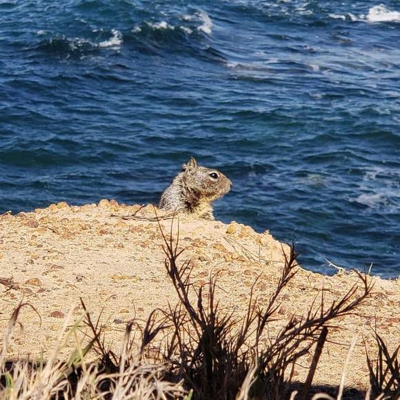 Profile Picture of Nicole Cilley (@mnc2278) on Poshmark