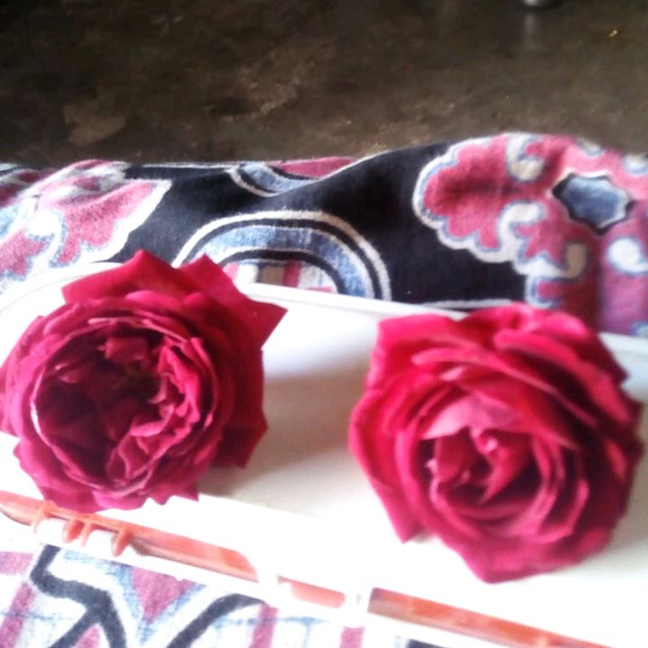 MICHAEL REILY - Tiktok Profile Picture of MICHAEL REILY (@michaelreily4) on Tiktok