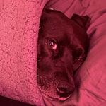 Profile Picture of jesse sexton (@jesse__sexton) on Instagram