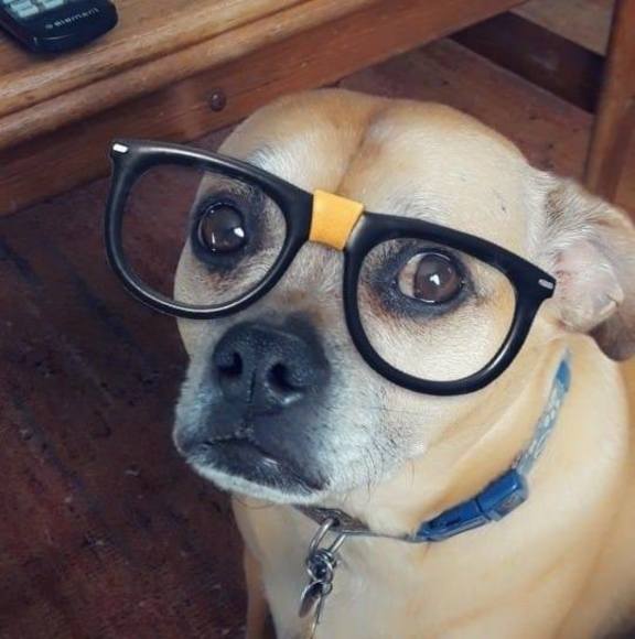 Profile Picture of Lisa Luetjens (@lluetjens) on Poshmark