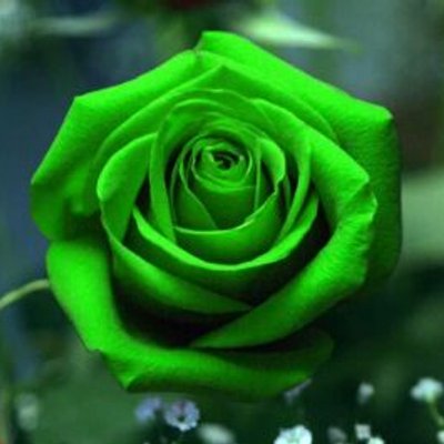 Profile Picture of Jo Ramos (@joramos2744) on Twitter