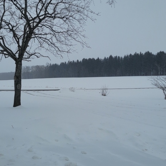 Profile Picture of Paige Varalli (@paige_varalli) on Poshmark