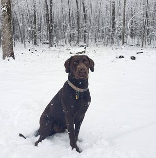 Profile Picture of Scott Hollow (@scott.hollow.104) on Facebook