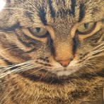 Profile Picture of Egbert Martin (@egbert.martin.98) on Facebook