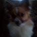 Profile Picture of Clarence Farley (@clarence.farley.562) on Facebook