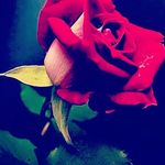 Profile Picture of soos (@99llw) on Instagram
