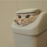 Profile Picture of Brett Coe (@brett-coe-12) on Quora
