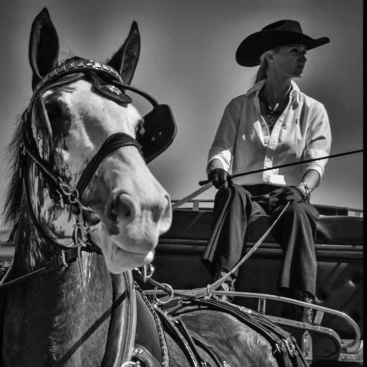 Profile Picture of   Visit Last Chance Corral on... (@classiccityclydes) on Tiktok