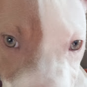 Profile Picture of Jenise Jackson (@jenisejackson8217) on Youtube