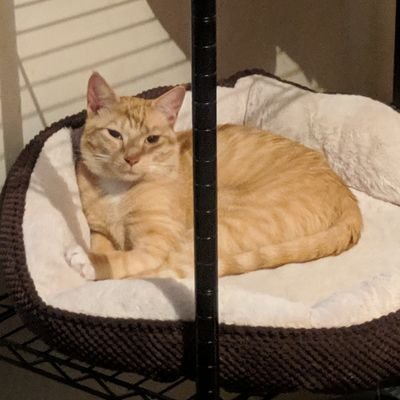 Profile Picture of Jay Ruggiero (@Jay_Ruggiero) on Twitter