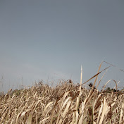 Profile Picture of Joyce Ting Yee Lee (@joyseeglitz) on Youtube