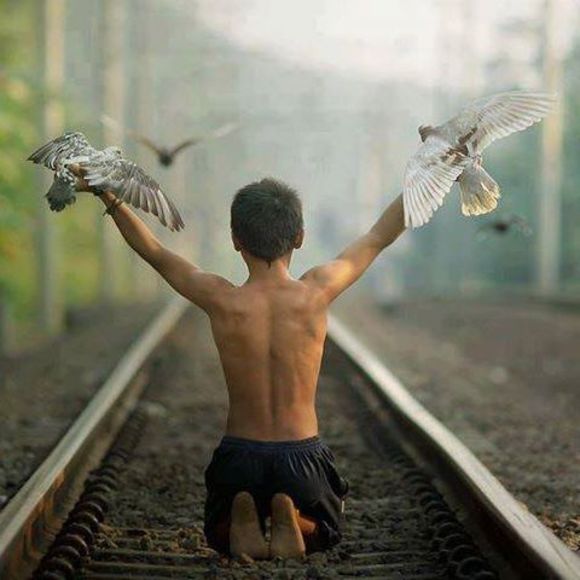 Profile Picture of Kimball Diamond (@kimballdiamond) on Poshmark