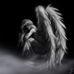 Profile Picture of Michael Iannicella (@michael.iannicella.3) on Facebook