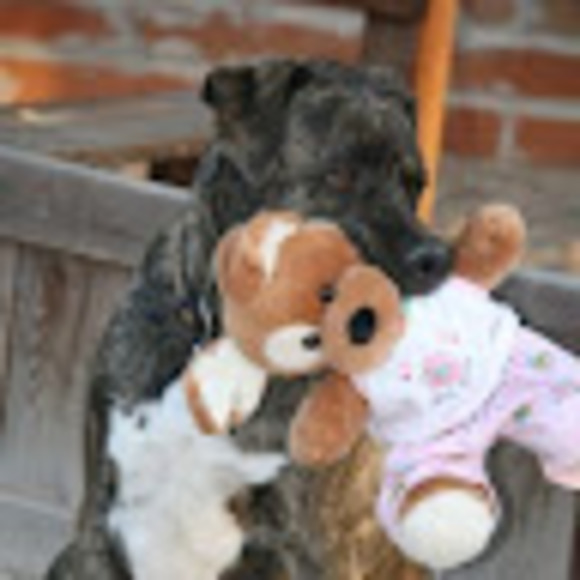 Profile Picture of Andrew Isaac (@aisaac70) on Poshmark