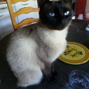 Profile Picture of Benjamin WENCKOWSKI (@Popof1987) on Twitter