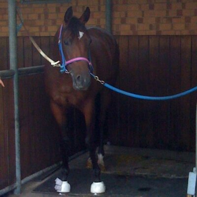 Profile Picture of Grant Matheson (@maddo_g) on Twitter