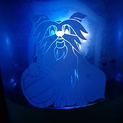 Profile Picture of Alex Waite (@AlexWaite_htafc) on Twitter
