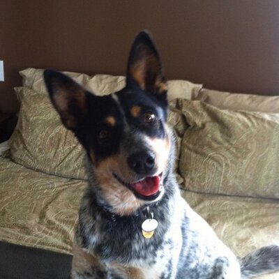 Profile Picture of Tammy Foster (@tammyfoster20) on Twitter