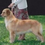 Mark Taniguchi - Instagram Profile Picture of Mark Taniguchi (@lnman808) on Instagram