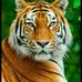 Profile Picture of Dennis Wiseman (@Dennis.Wiseman00) on Facebook