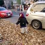 Profile Picture of Luis Arocho (@arochtowing) on Instagram